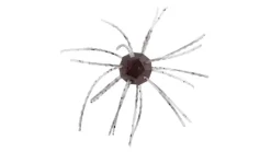 Strike King Tumbleweed Salted