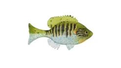 Sudden Impact Baits Sudden Impact Suzygill Bluegill Jr. Gill