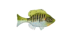 Sudden Impact Baits Sudden Impact Suzygill Bluegill