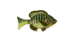Sudden Impact Baits Sudden Impact Suzygill Bluegill Lil Gill