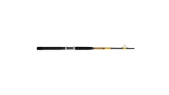 Ugly Stik Bigwater Conventional Rod