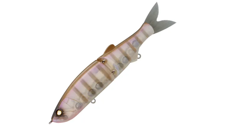 Whiplash Factory Swayward 16 Glide Bait