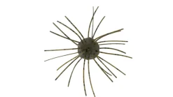 Z-Man Fuzzy Nuggetz