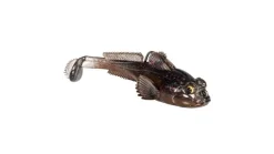Z-Man Gobius